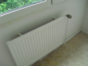 Desinfizierung-Renovierung (14).JPG